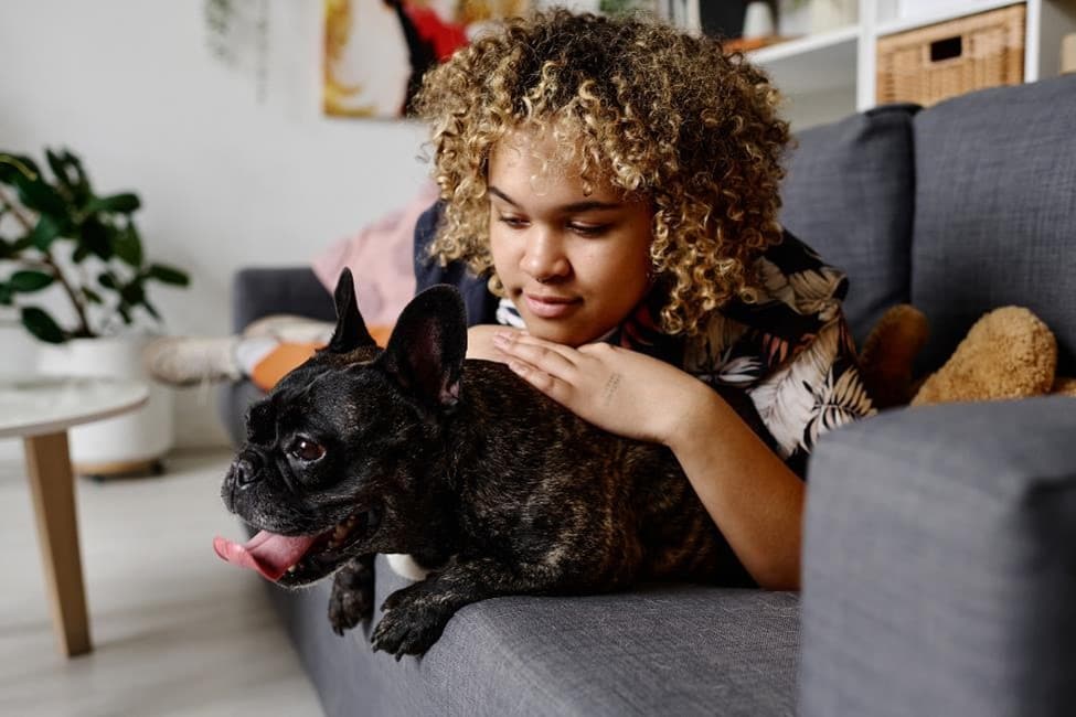 A girl petting a dog on a couch