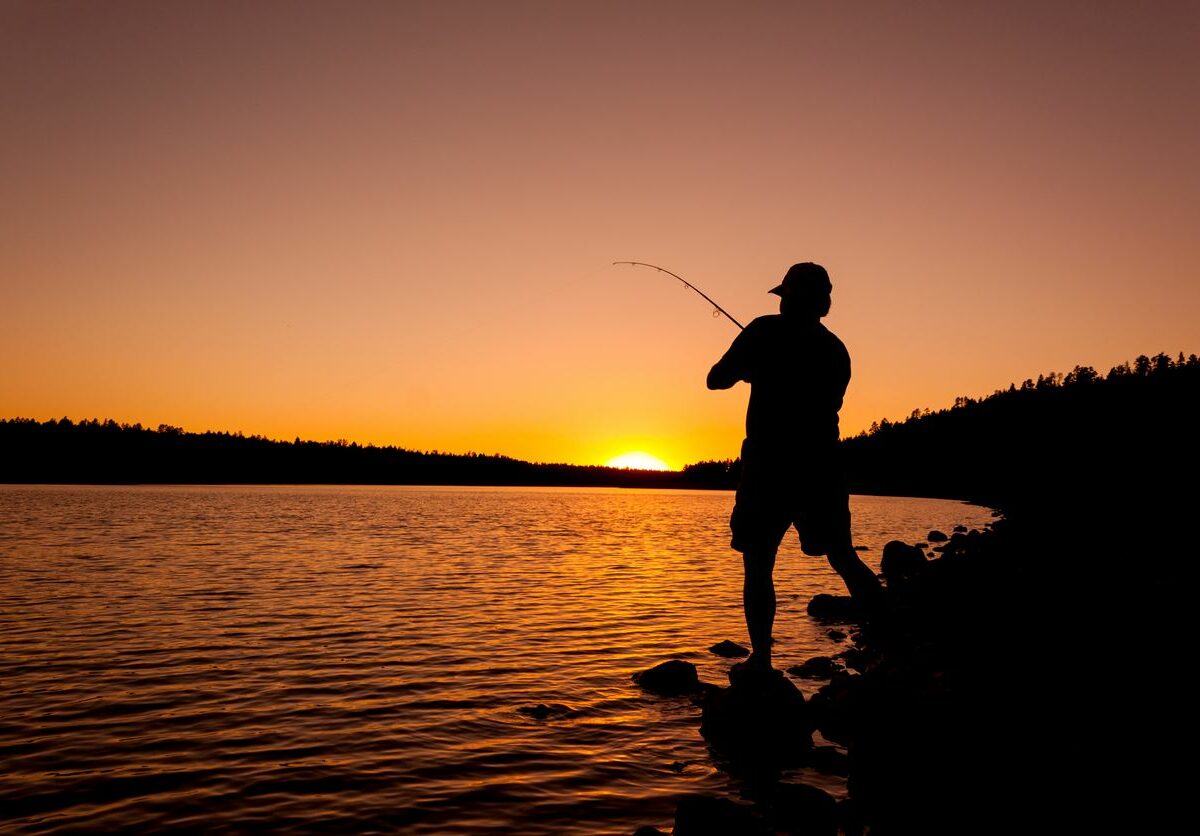 Silhouette of man fishing by the shore at sunset