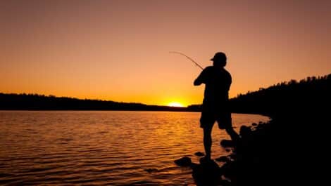 Silhouette of man fishing by the shore at sunset
