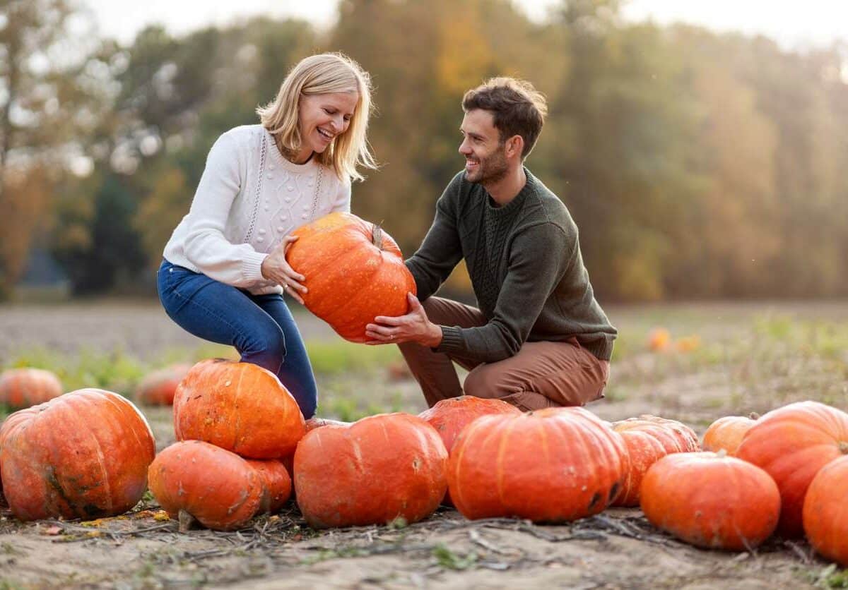 Man and woman smile as they choose a pumpkin at a pumpkin patch