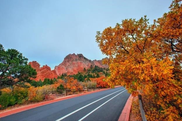 A road in The Garden of the Gods in Colorado Springs during autumn with the leaves changing color nearby.