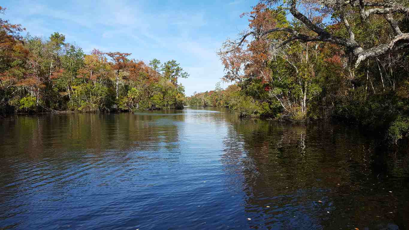 Ideas for Winter RV Road Trips From Tallahassee, FL Storage King USA